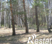 земля 46 сот село Чернолучье Омский район