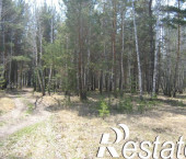земля 47 сот село Чернолученский Омский район, 