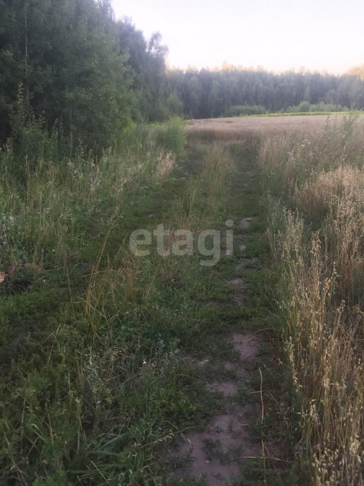 Земельный участок Центральная улица