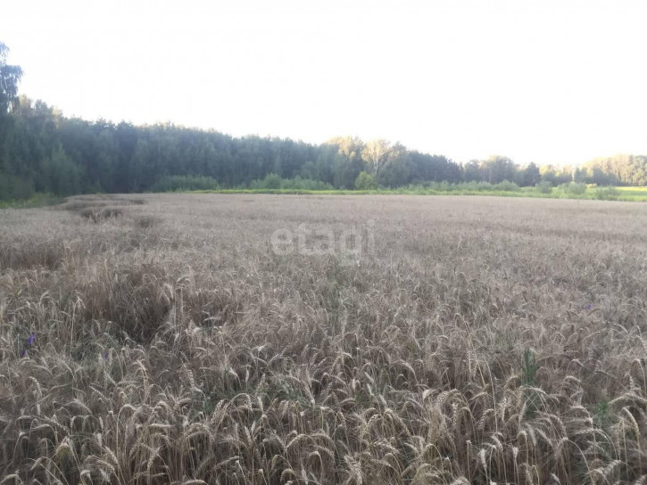 Земельный участок Центральная улица
