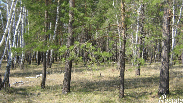 Земельный участок село Чернолучье Омский район