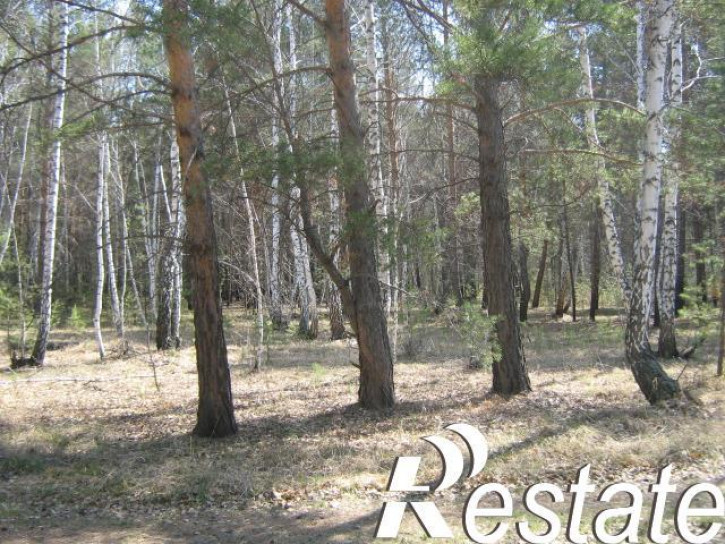 Земельный участок село Чернолученский Омский район,