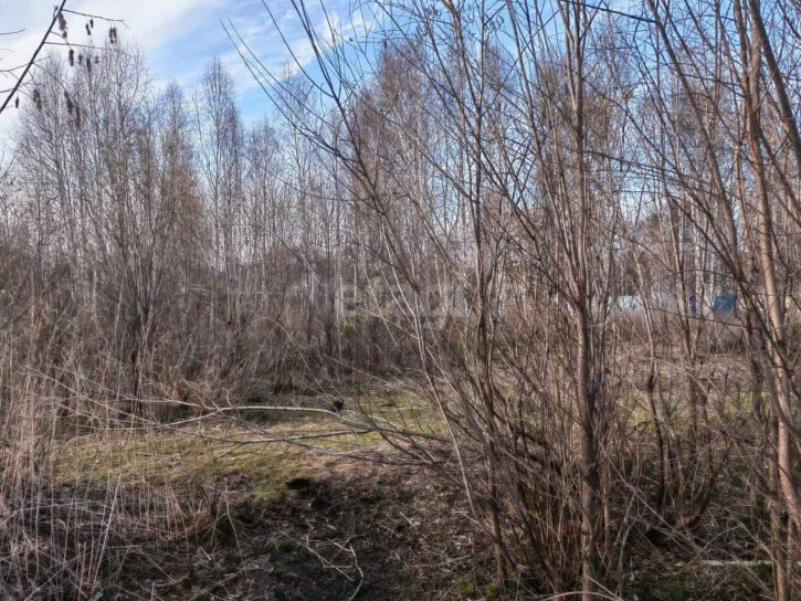 Земельный участок Фортуна с/о