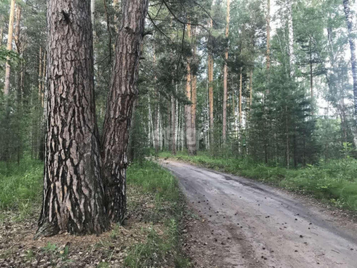 Земельный участок N4,