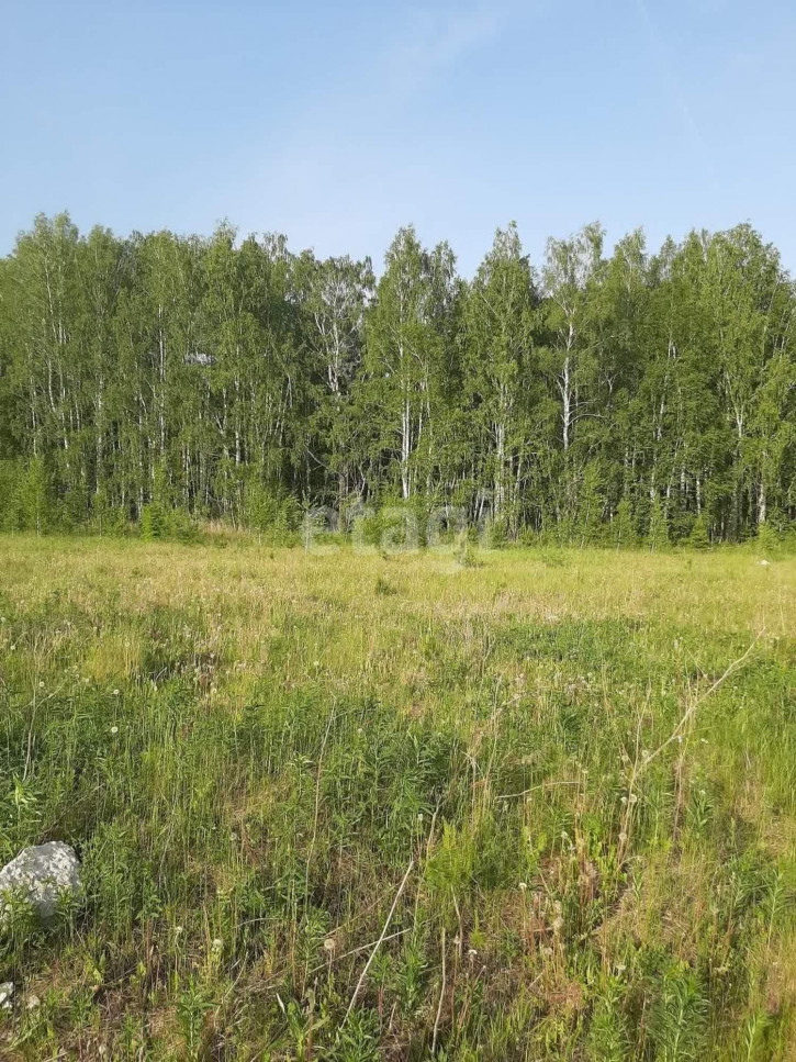 Земельный участок Лесная поляна КП