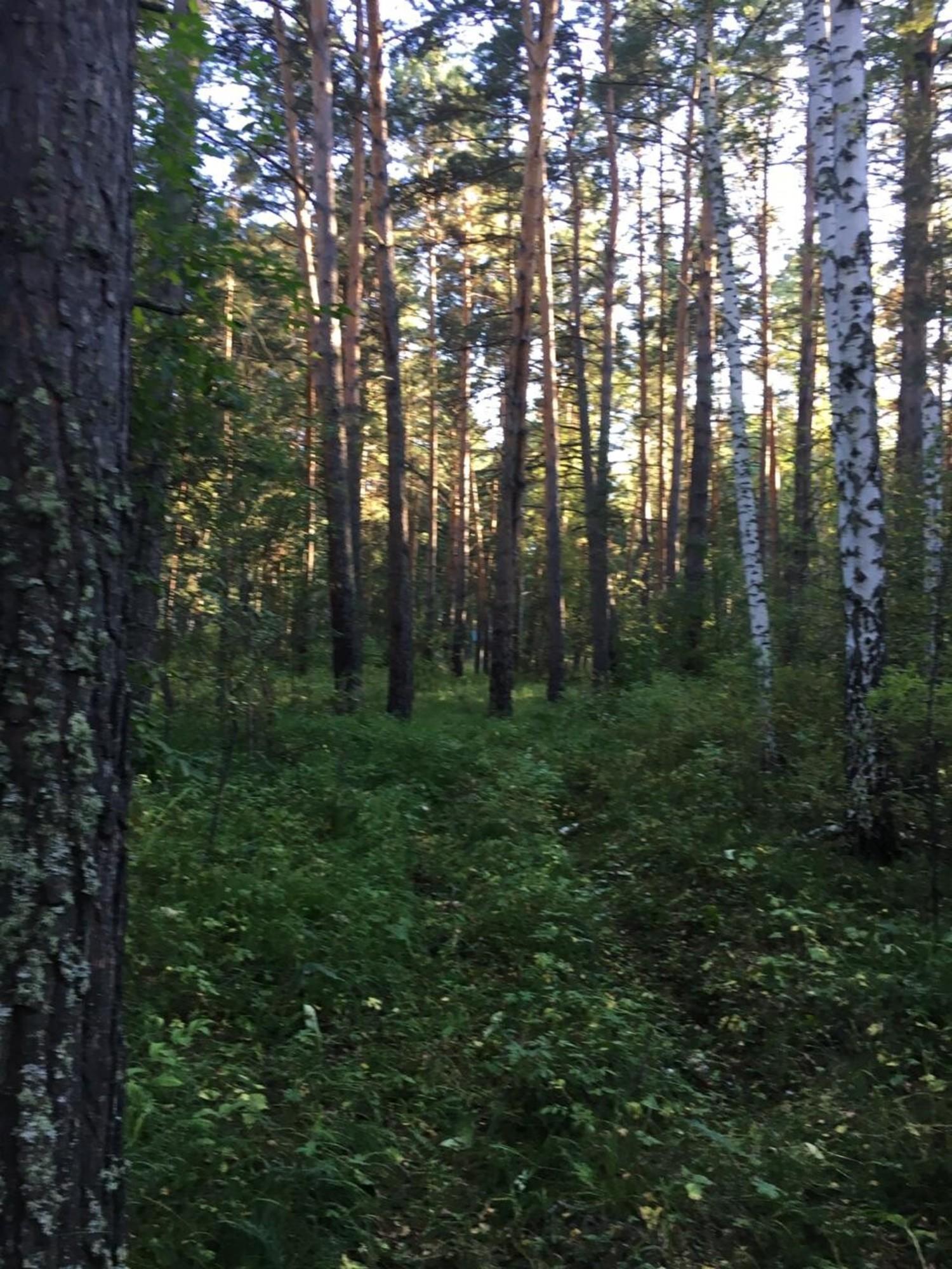 Купить помещение свободного назначения за 8 000 000 рублей на с. Кирза