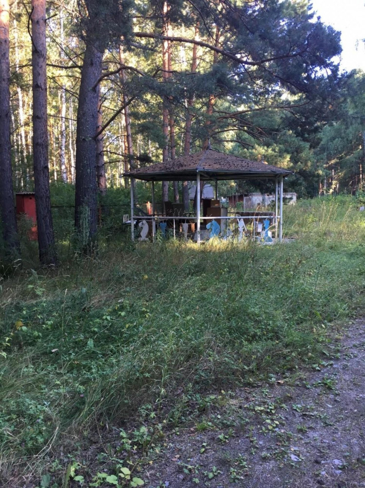Помещение свободного назначения с. Кирза