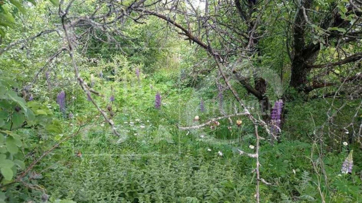 Земельный участок , 521