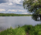 земля 13 сот Власьево п