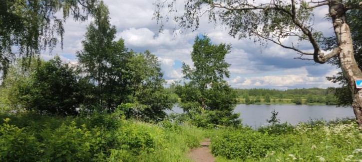 Земельный участок Власьево п