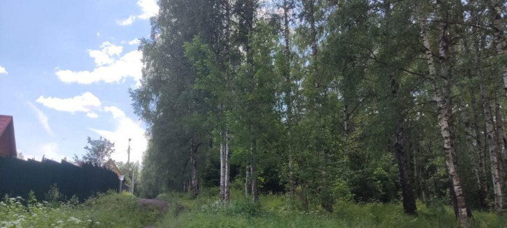 Земельный участок Власьево п