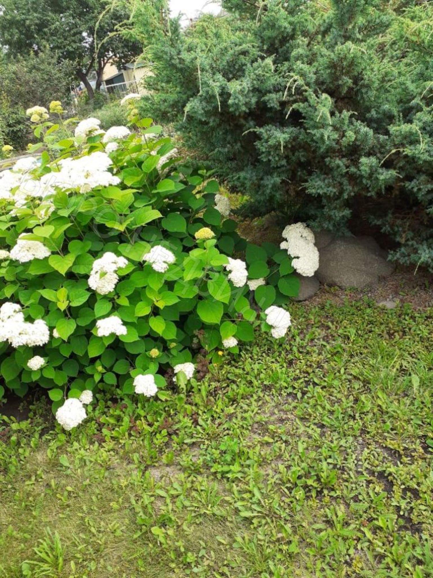 Купить дачу, дом, коттедж за 650 000 рублей на Арзянка п