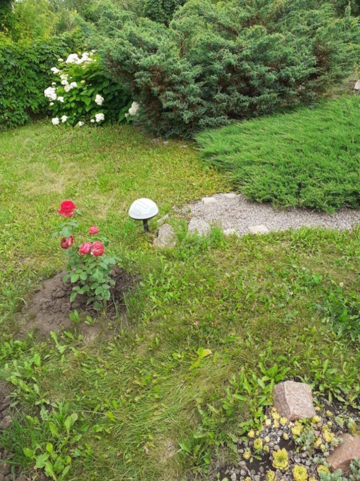 Коттедж/дом Арзянка п