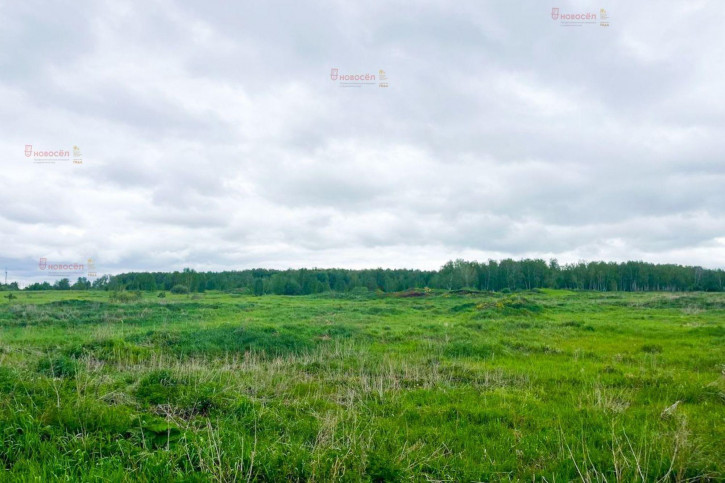 Земельный участок село Чернокоровское