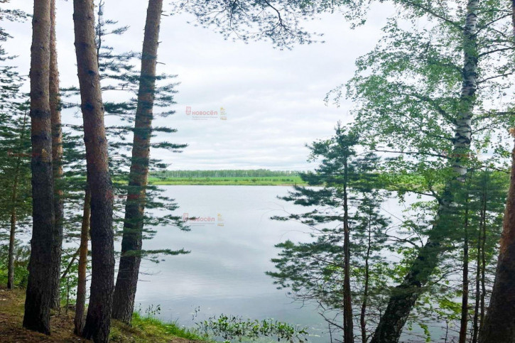 Земельный участок село Чернокоровское