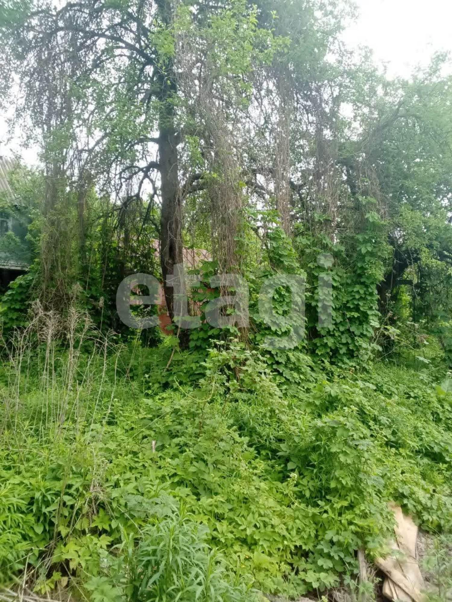 Купить землю, земельный участок за 650 000 рублей на Северо-Западный обход г. Брянска
