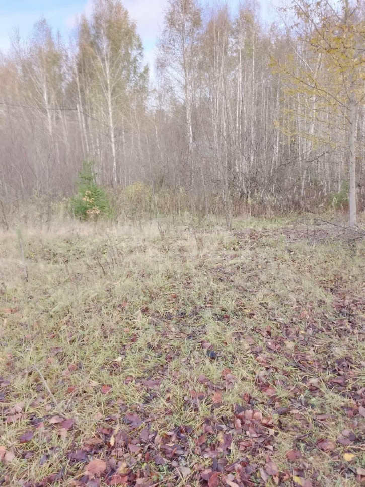 Земельный участок деревня Окишево, 963