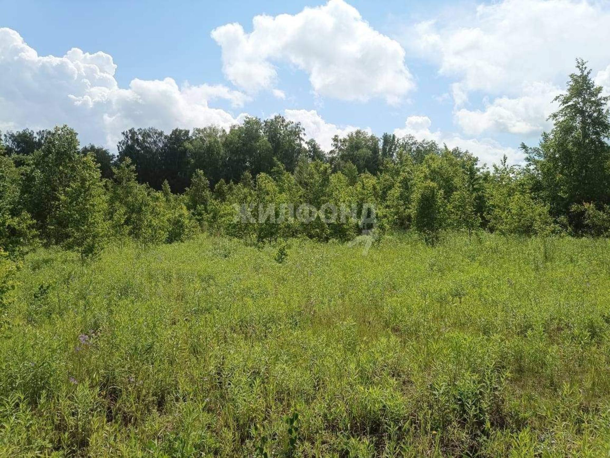Купить землю, земельный участок за 450 000 рублей на село Барлак