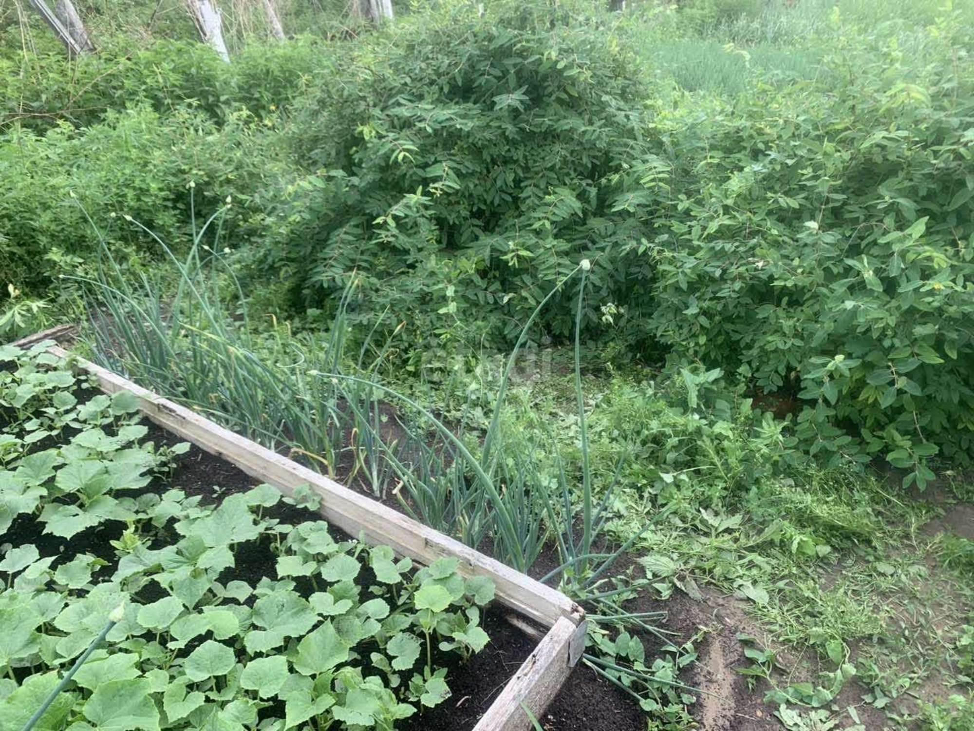 Купить дачу, дом, коттедж за 1 650 000 рублей на Береговая, 16