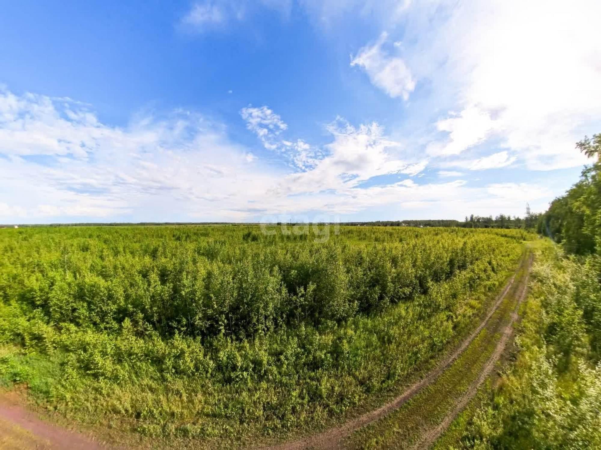 Купить землю, земельный участок за 2 450 000 рублей на 9571