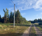 земля 10112 сот Новоживотинное с.