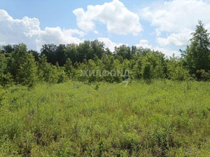 Земельный участок село Барлак