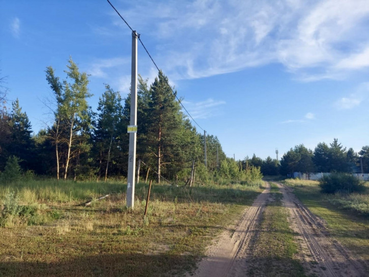 Земельный участок Новоживотинное с.
