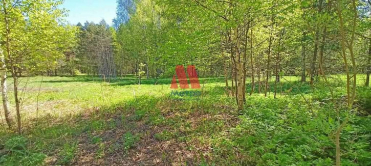 Земельный участок поселок при профилактории "Строитель"