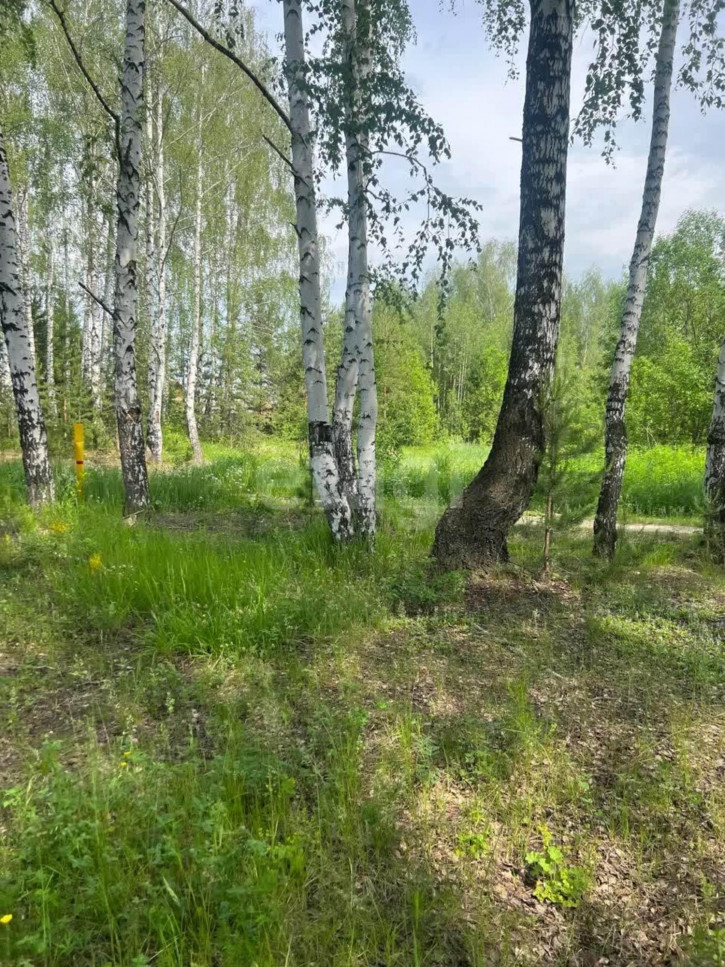 Земельный участок п. Октябрьский, 114