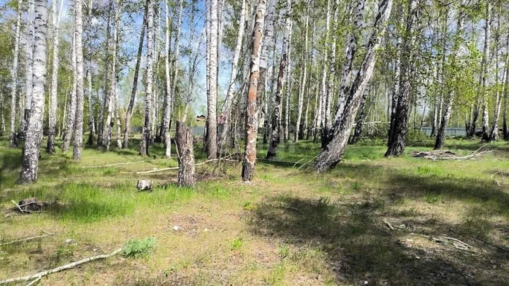 Земельный участок Широкая Речка,Новоселов 20
