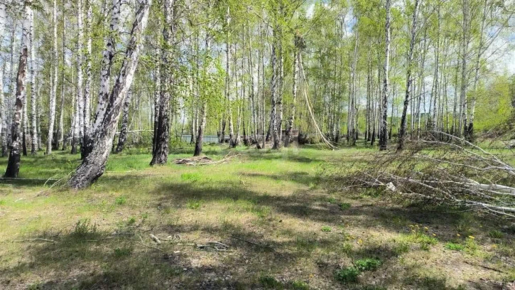 Земельный участок Широкая Речка,Новоселов 20