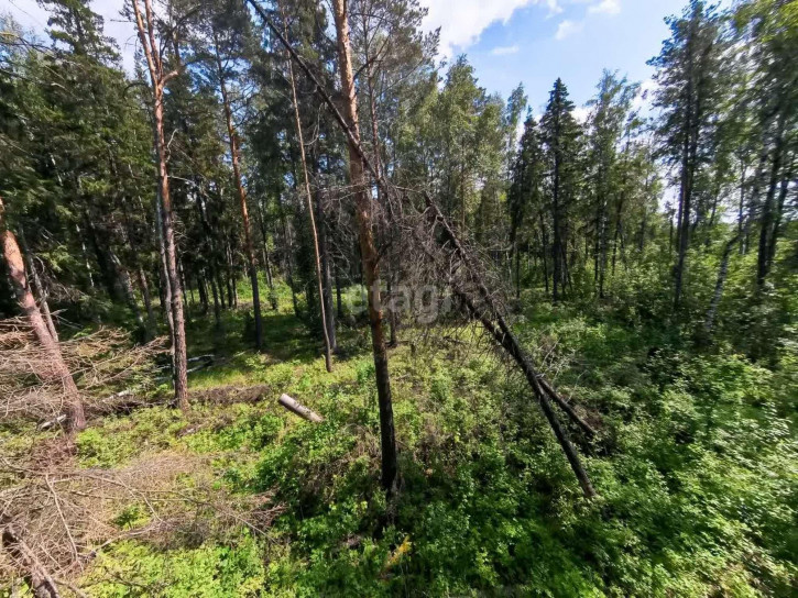 Земельный участок Зубарева