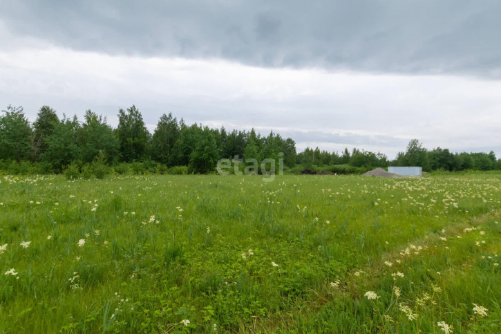Земельный участок Яр (Тобольский тракт)