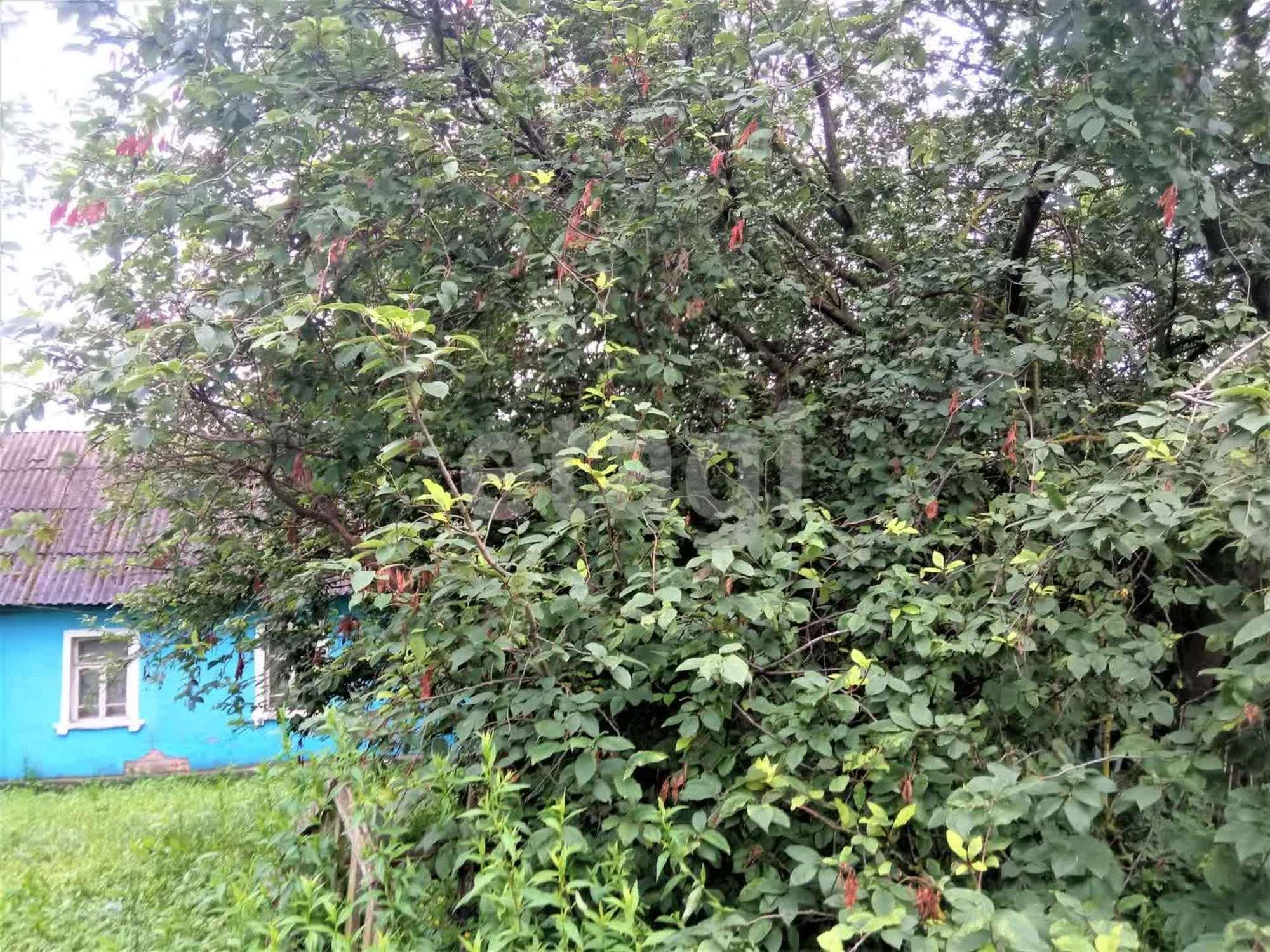 Купить дачу, дом, коттедж за 1 900 000 рублей на Московская улица