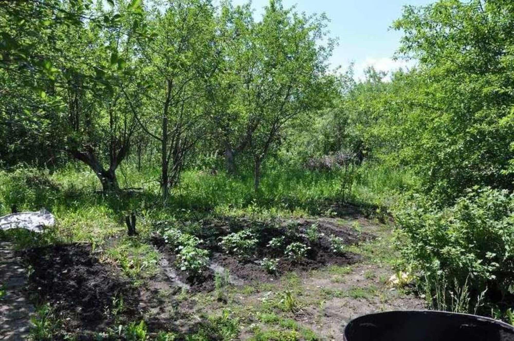 Купить дачу, дом, коттедж за 280 000 рублей на Дачная улица, 40