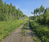 земля 12.77 сот село Барлак