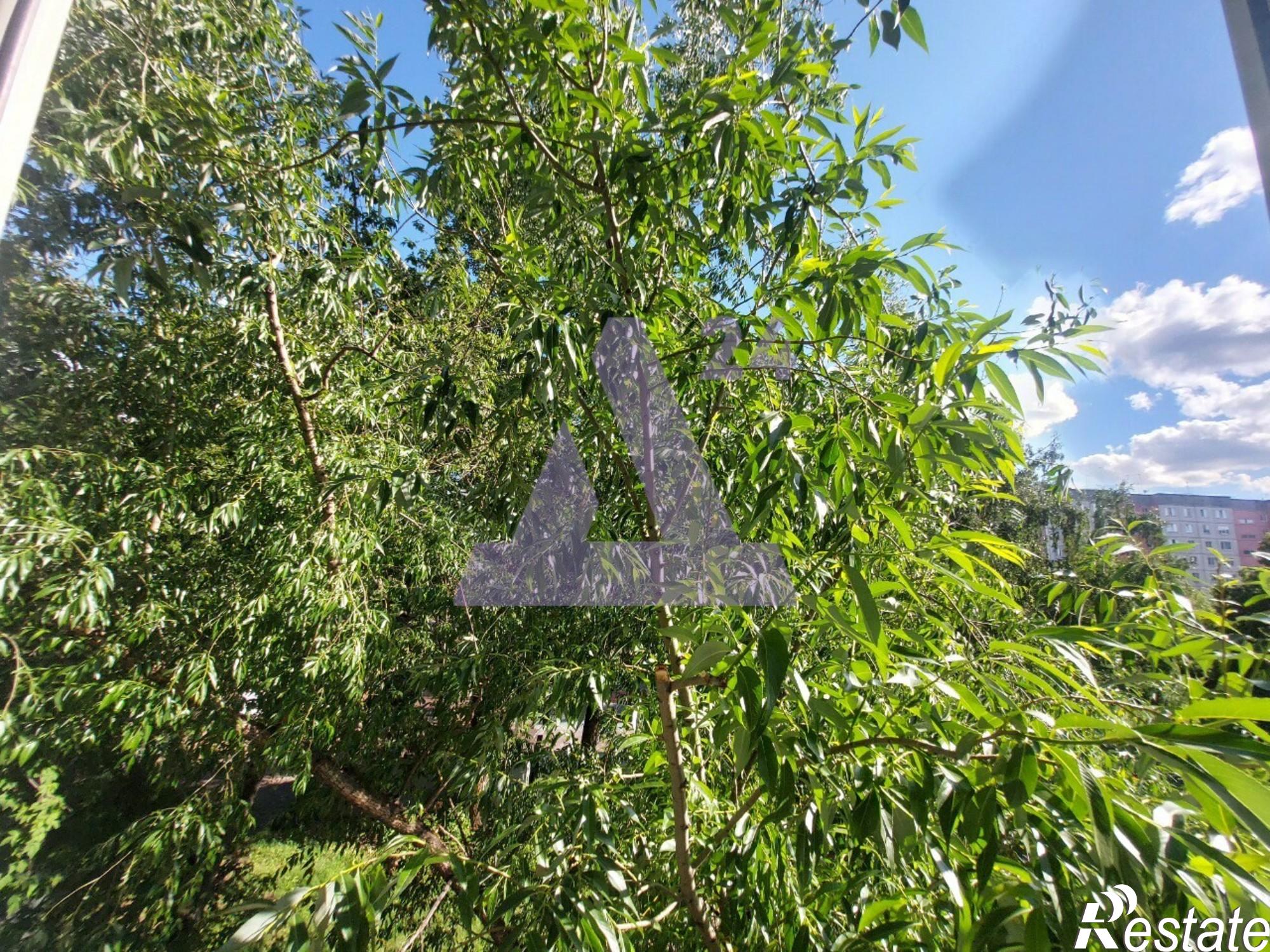 Купить квартиру за 3 700 000 рублей на улица Эмилии Алексеевой, дом 51