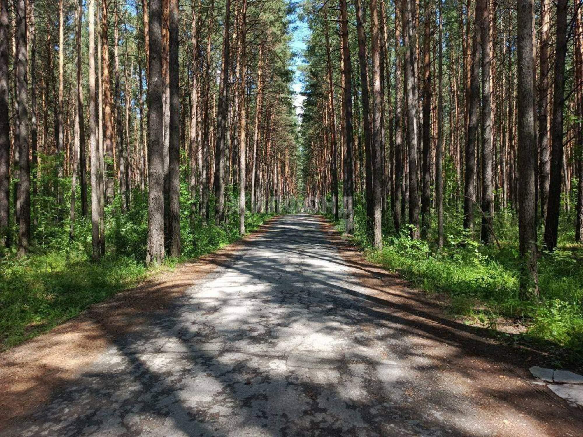 Купить землю, земельный участок за 5 200 000 рублей на Лесная улица