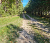 земля 11 сот Поселок,Пушкина 4153