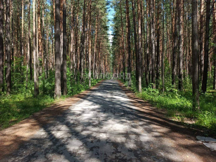 Земельный участок Лесная улица