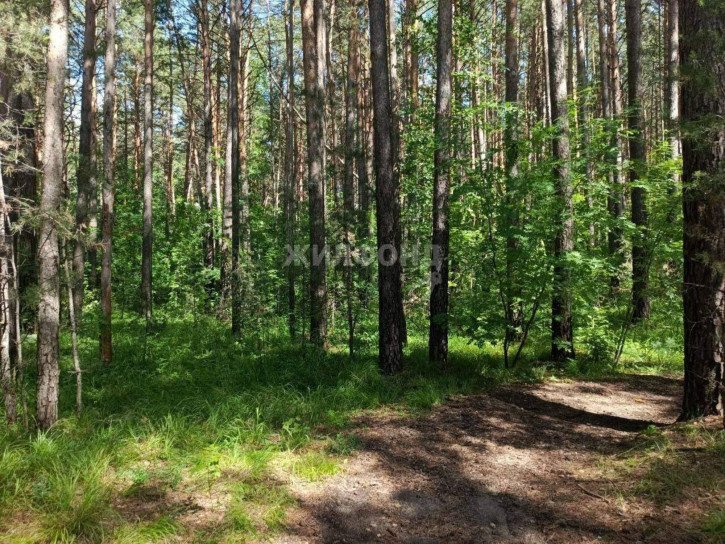 Земельный участок Лесная улица