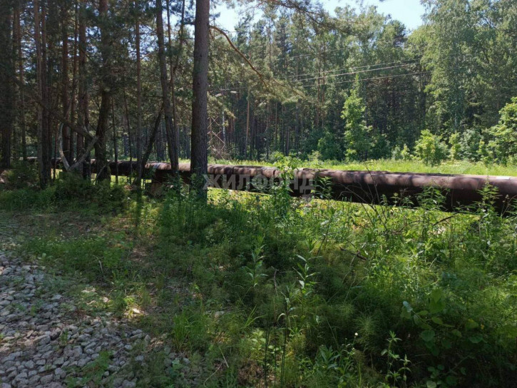 Земельный участок Лесная улица