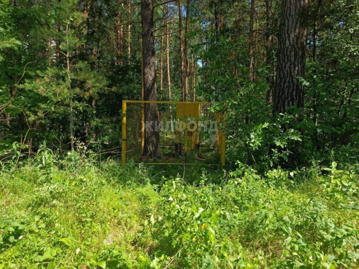 Земельный участок Лесная улица