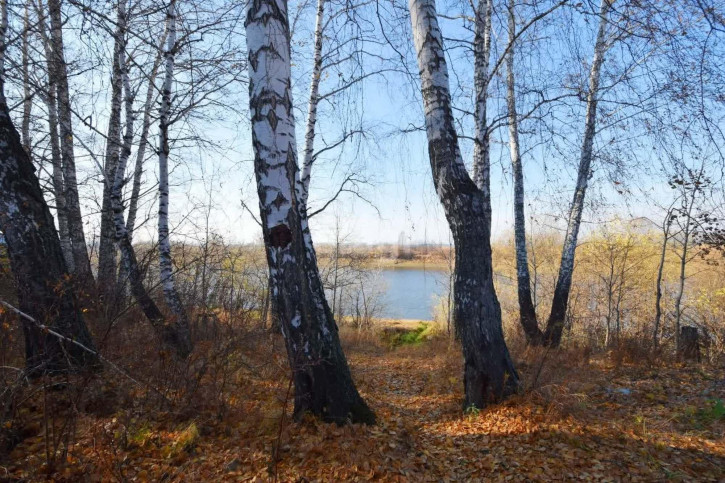 Земельный участок Лесное с/о