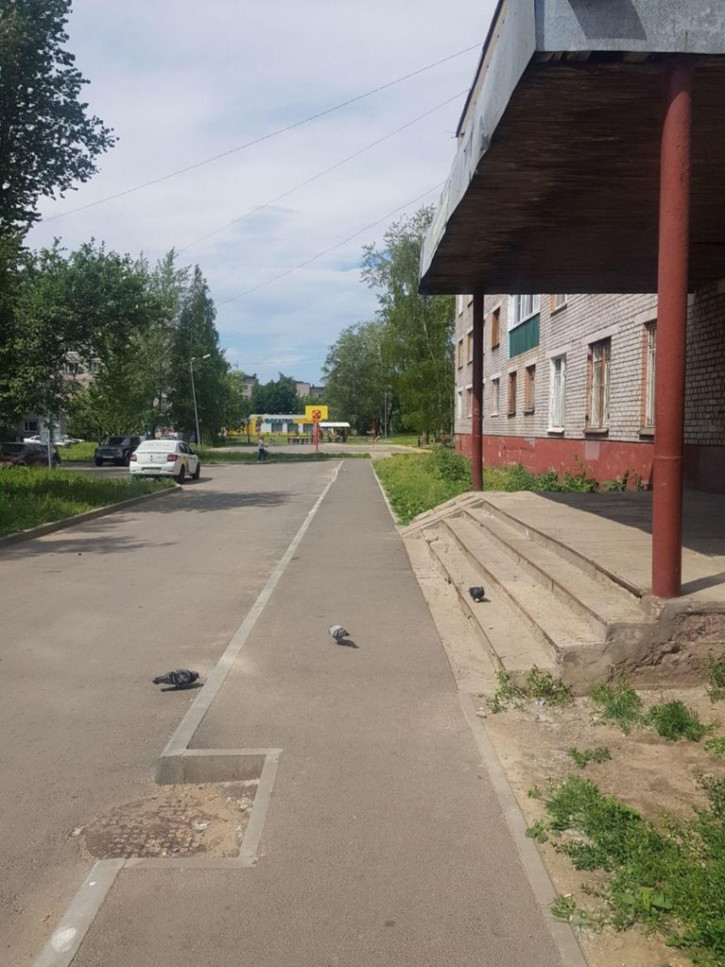 Помещение свободного назначения Пионерская ул, 27