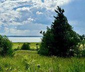 земля 40 сот Городище с