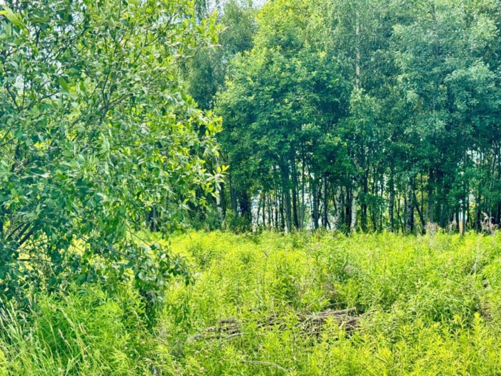 Земельный участок Городище с