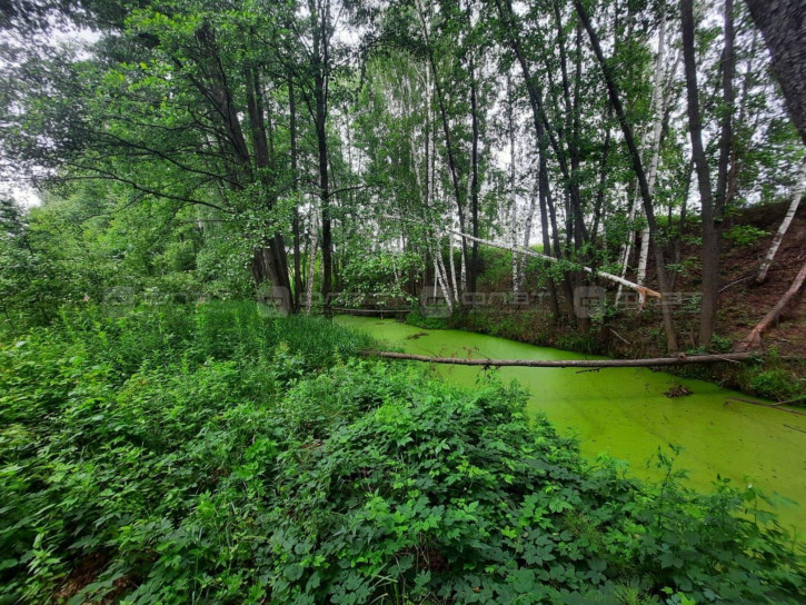 Земельный участок ул. Заречная, дом 17