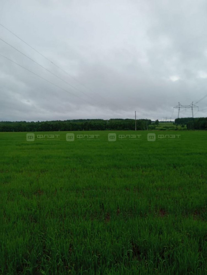 Земельный участок Большие Кургузи