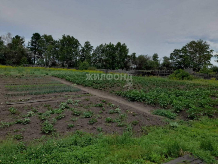 Коттедж/дом Дружбы улица